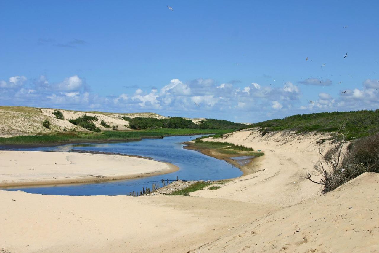 Le Hameau Des Vagues 4-5 Pers Piscines Et Nature A Moliets Eksteriør billede