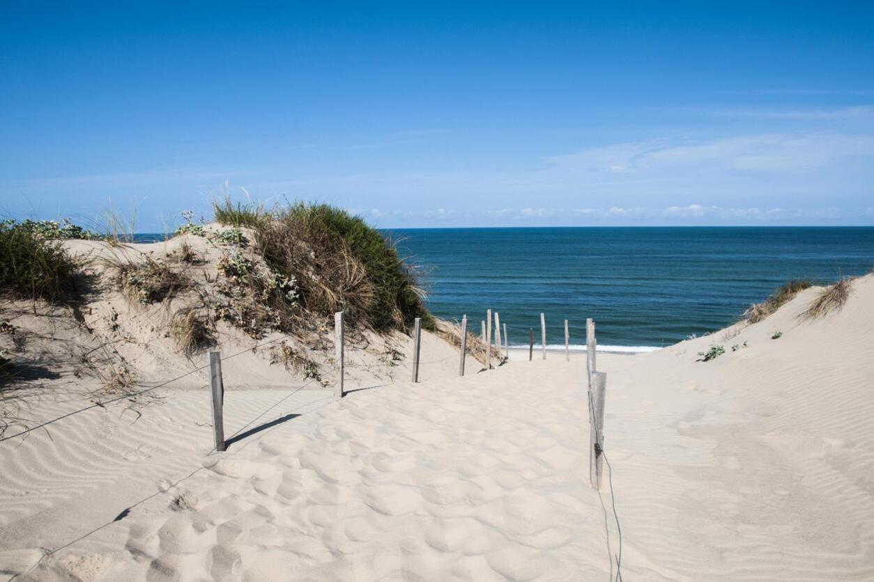 Le Hameau Des Vagues 4-5 Pers Piscines Et Nature A Moliets Eksteriør billede
